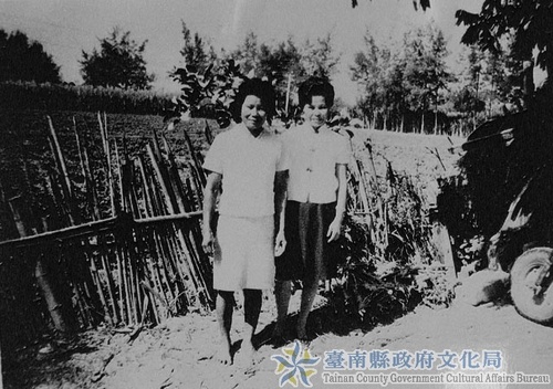 作品縮圖
