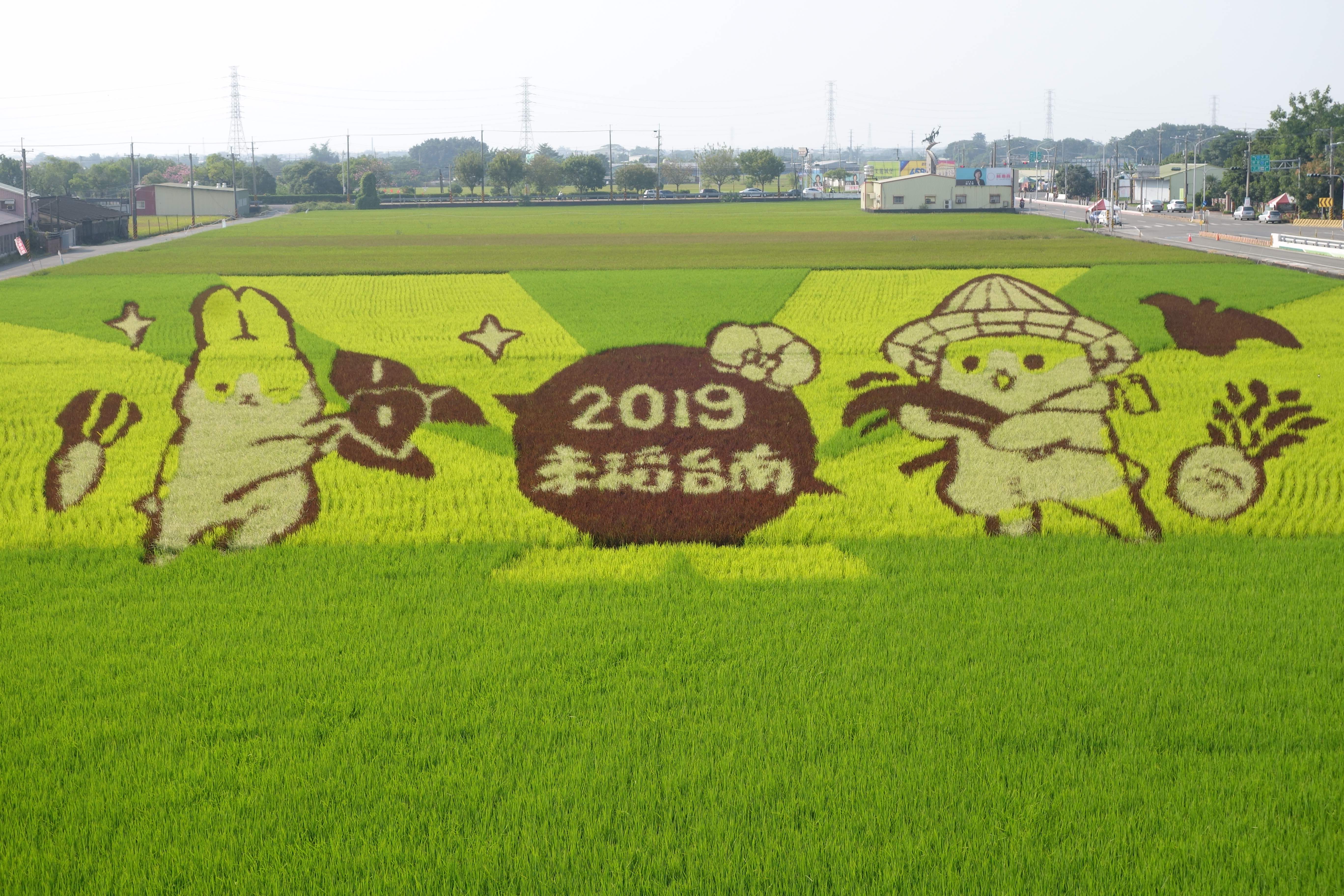 魚躍林鳳火鶴連蓮