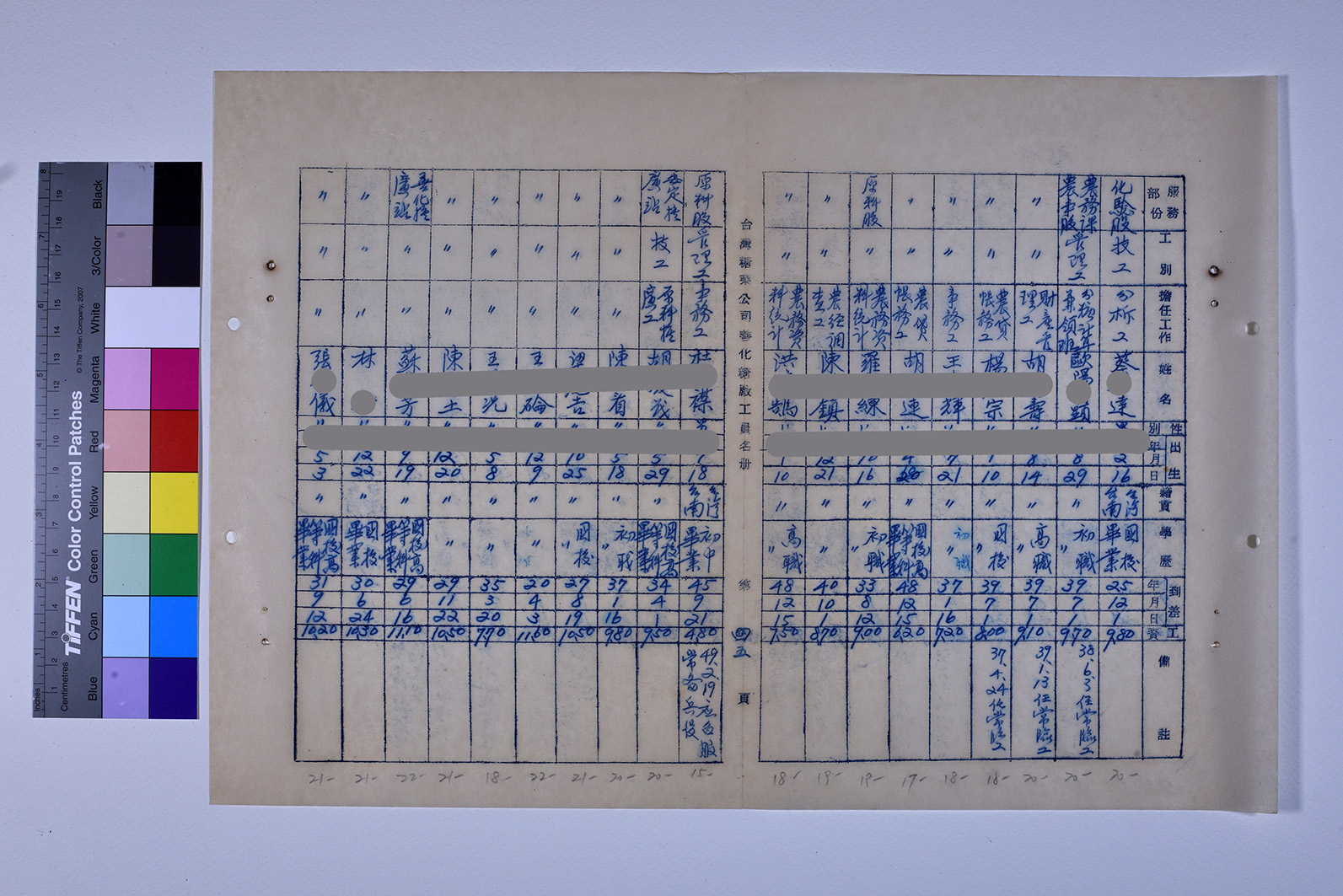 3419-13-善化糖廠工員名冊511230_ 內頁8