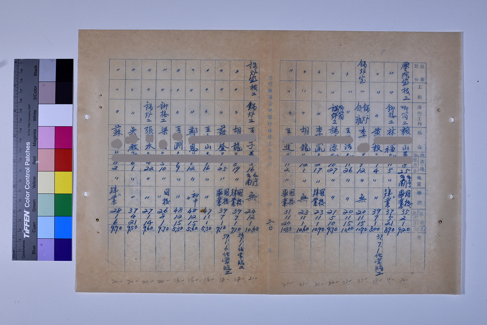 3419-13-善化糖廠工員名冊511230_ 內頁17