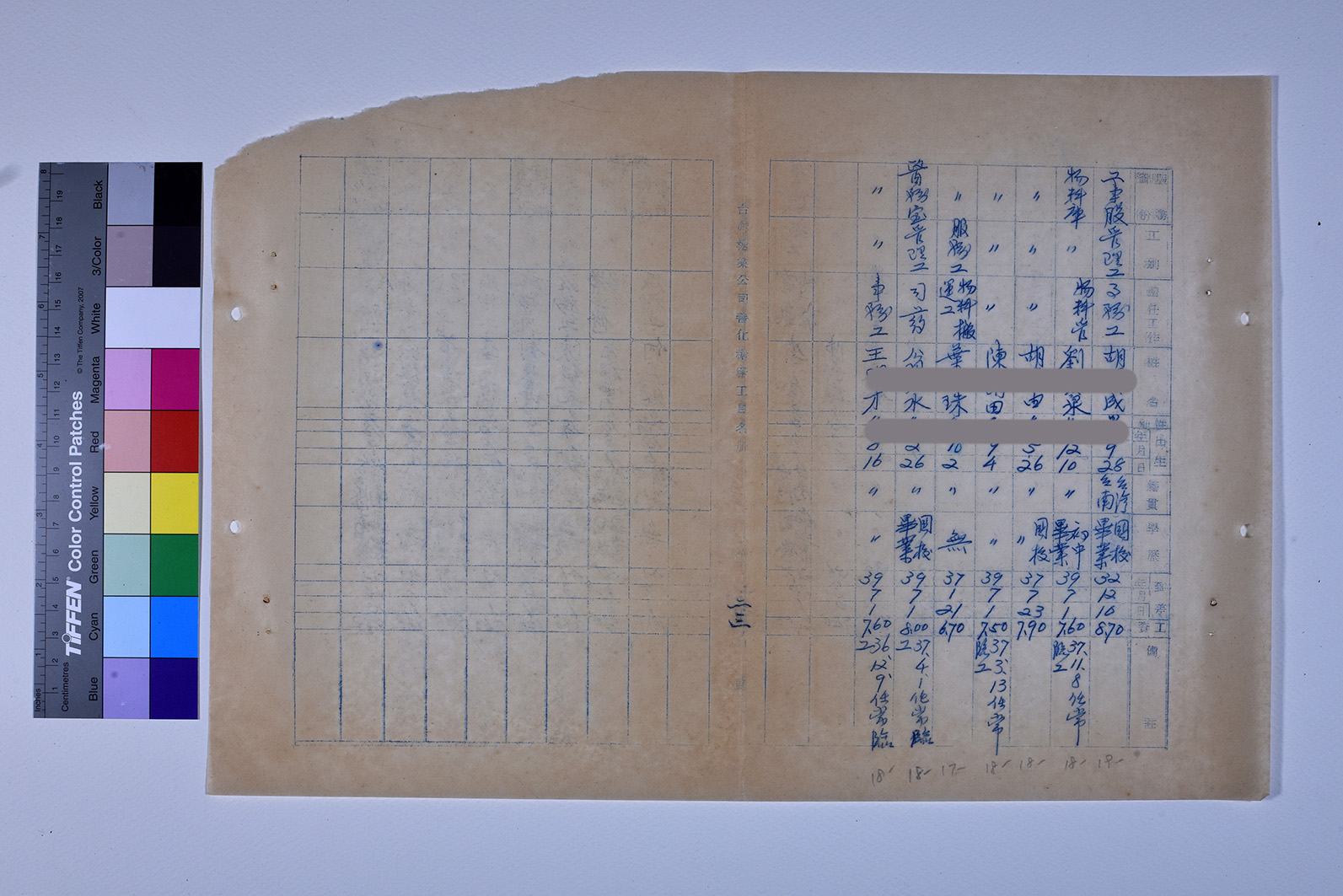 3419-13-善化糖廠工員名冊511230_ 內頁1