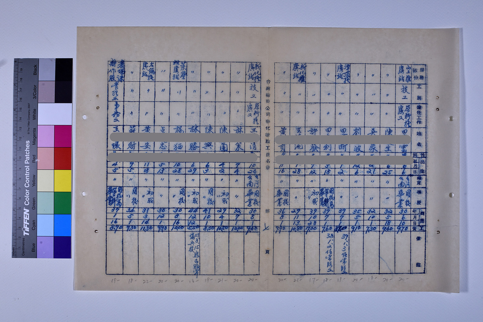 3419-13-善化糖廠工員名冊511230_ 內頁7
