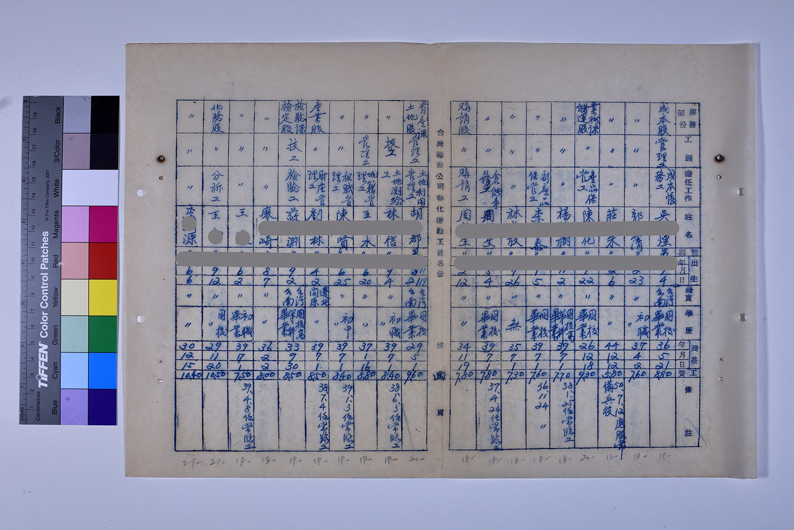 3419-13-善化糖廠工員名冊511230_ 內頁2
