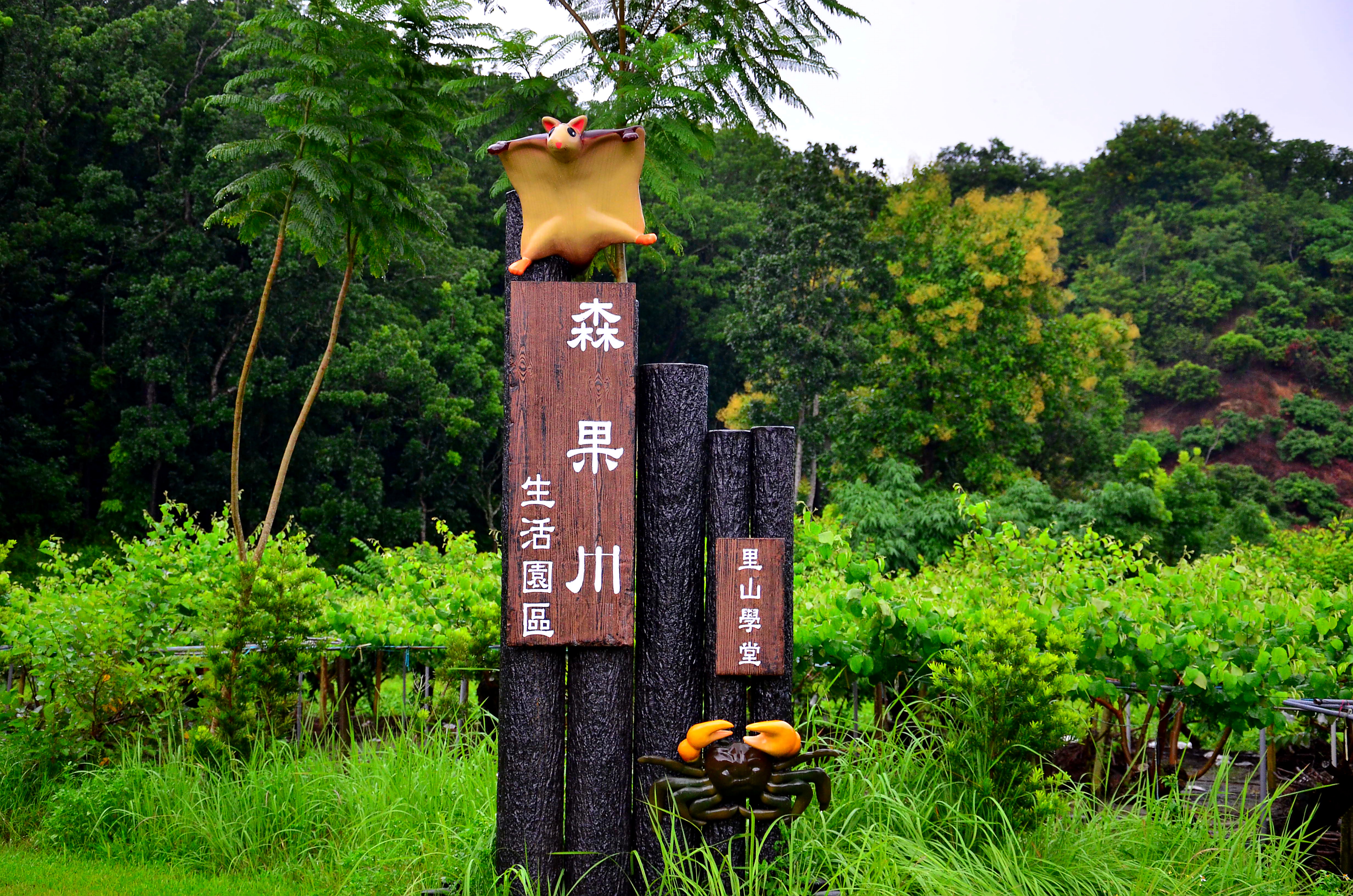 「打造密枝百果村」