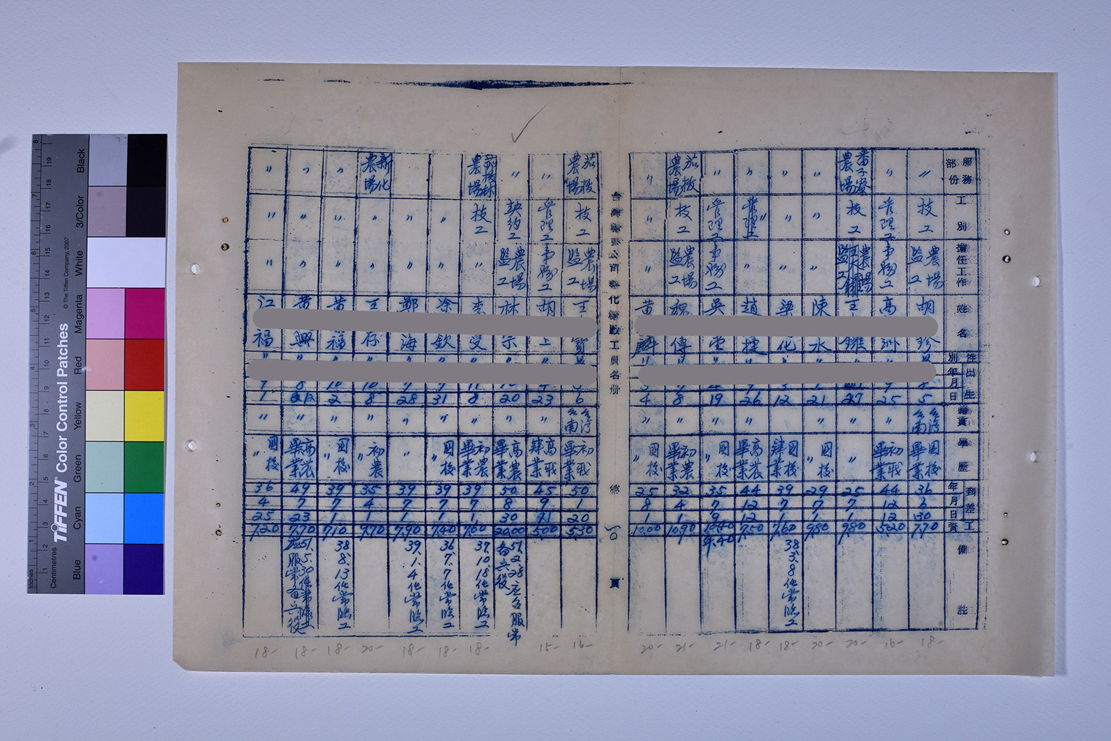 3419-13-善化糖廠工員名冊511230_ 內頁21