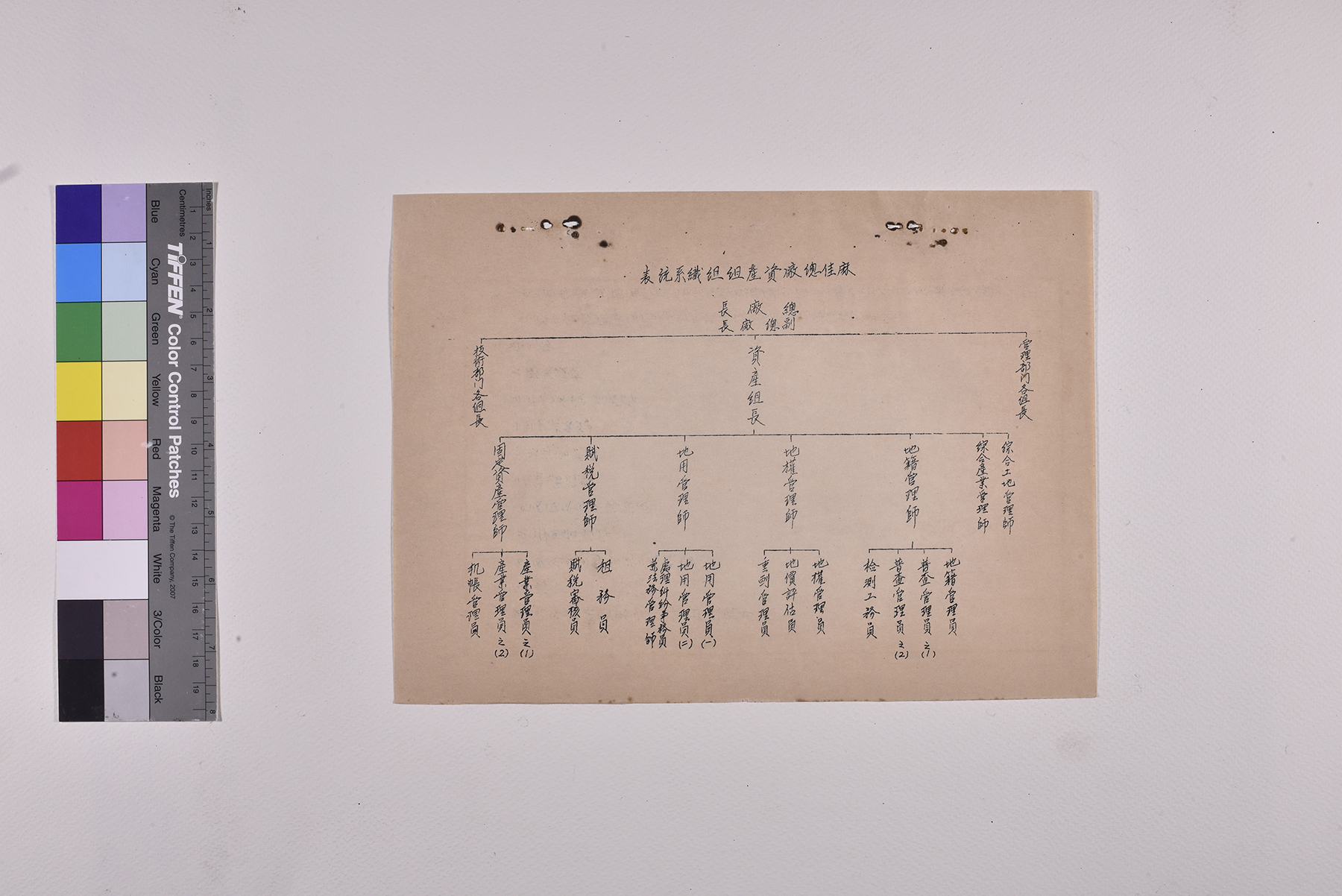 賦稅管理師職位說明書_頁3