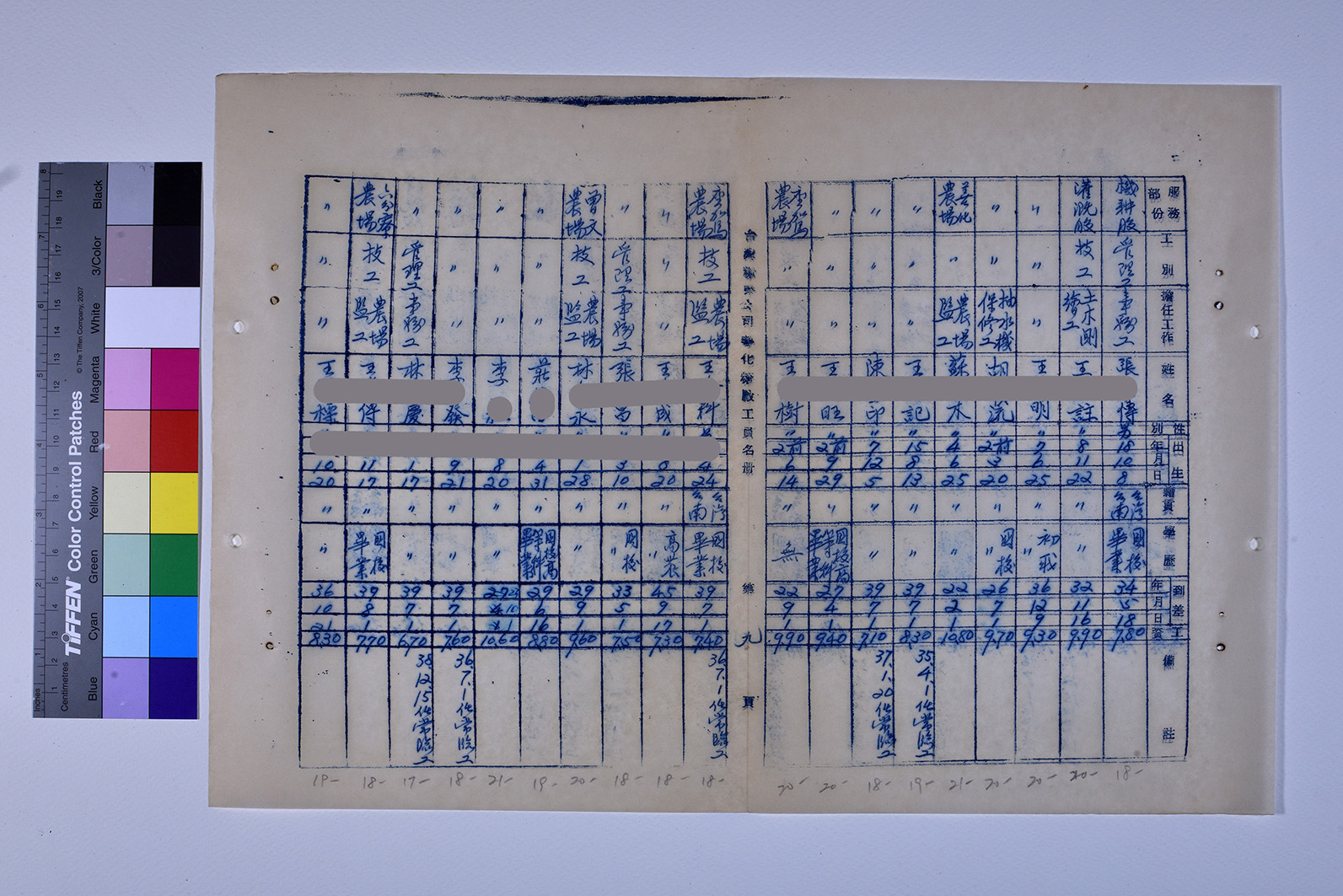 3419-13-善化糖廠工員名冊511230_ 內頁19