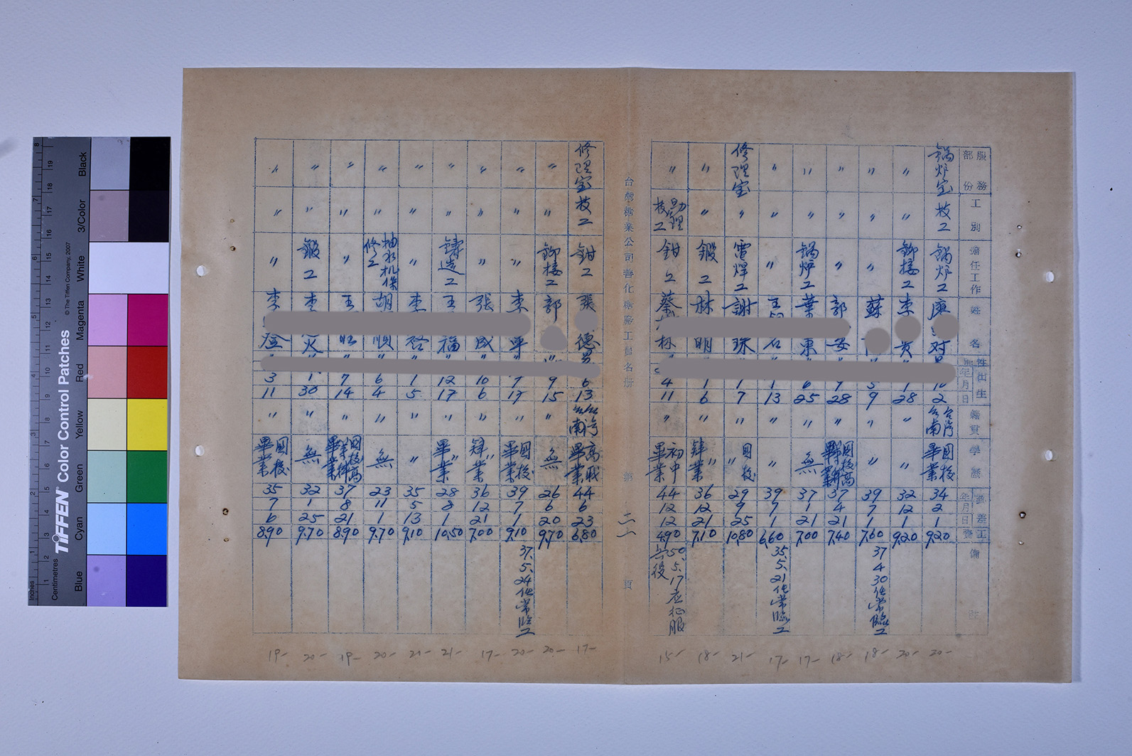 3419-13-善化糖廠工員名冊511230_ 內頁24