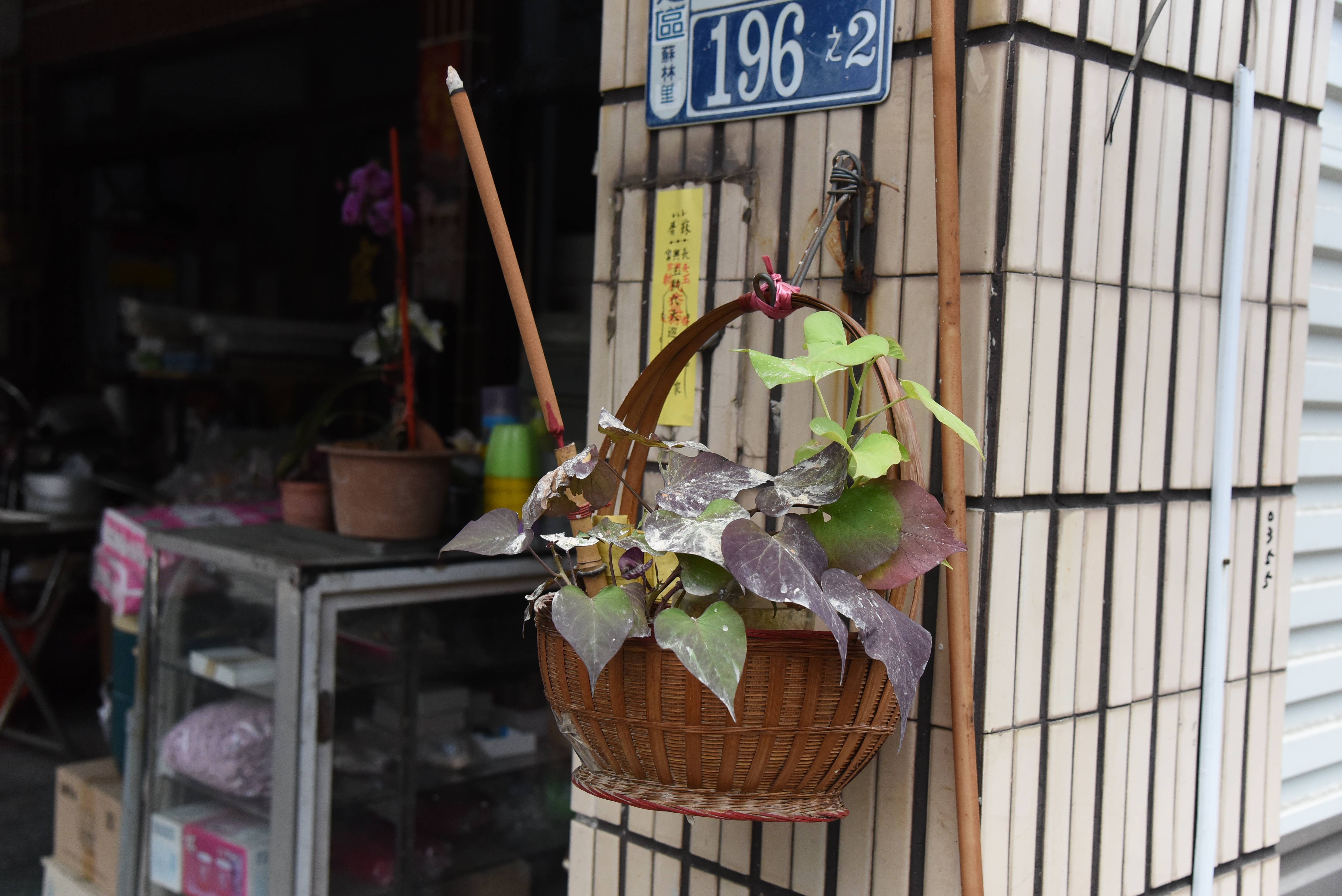 安定長興宮瘟王祭—馬草水1