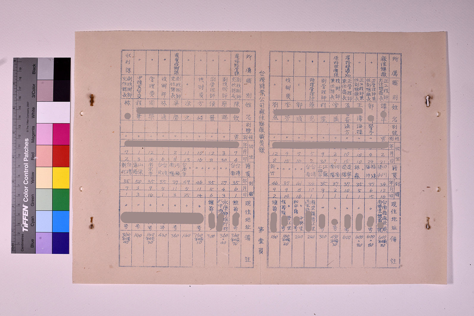 3419-9-麻佳總廠職員錄511231_ 內頁6