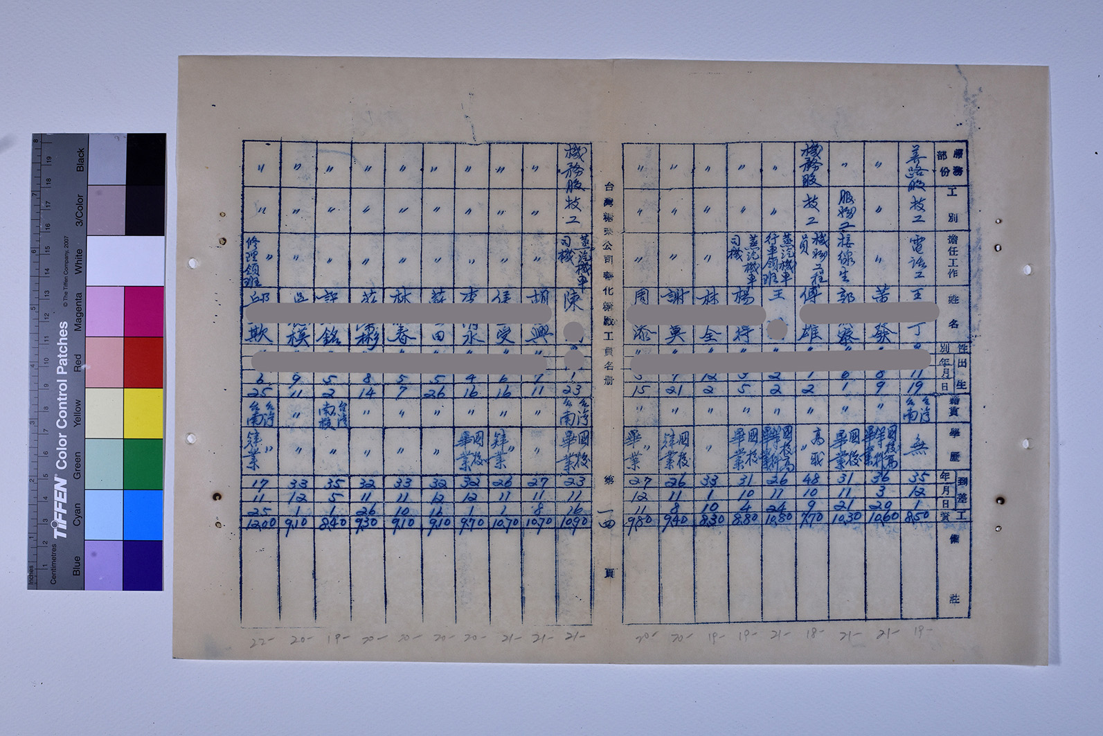 3419-13-善化糖廠工員名冊511230_ 內頁4