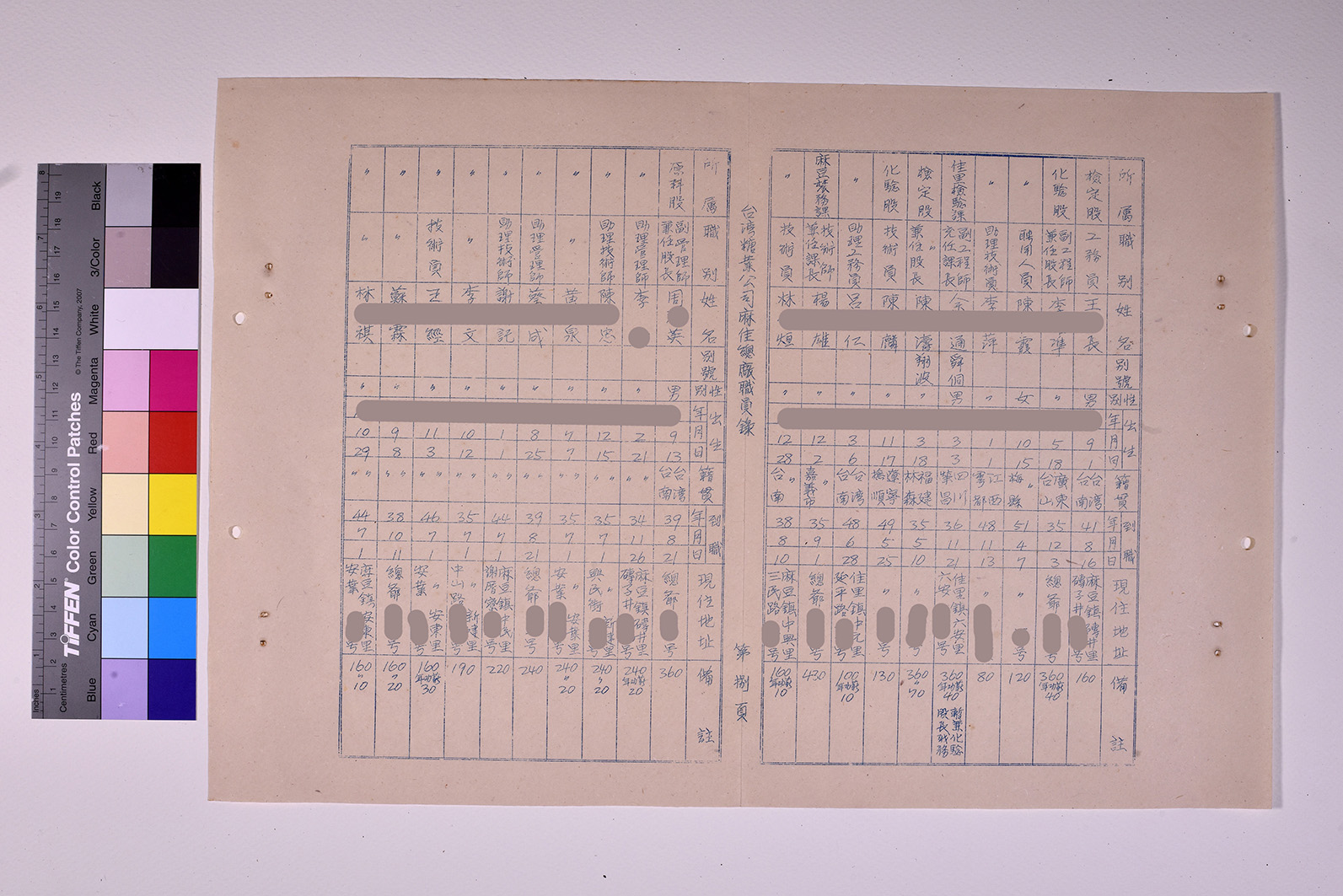 3419-9-麻佳總廠職員錄511231_ 內頁12