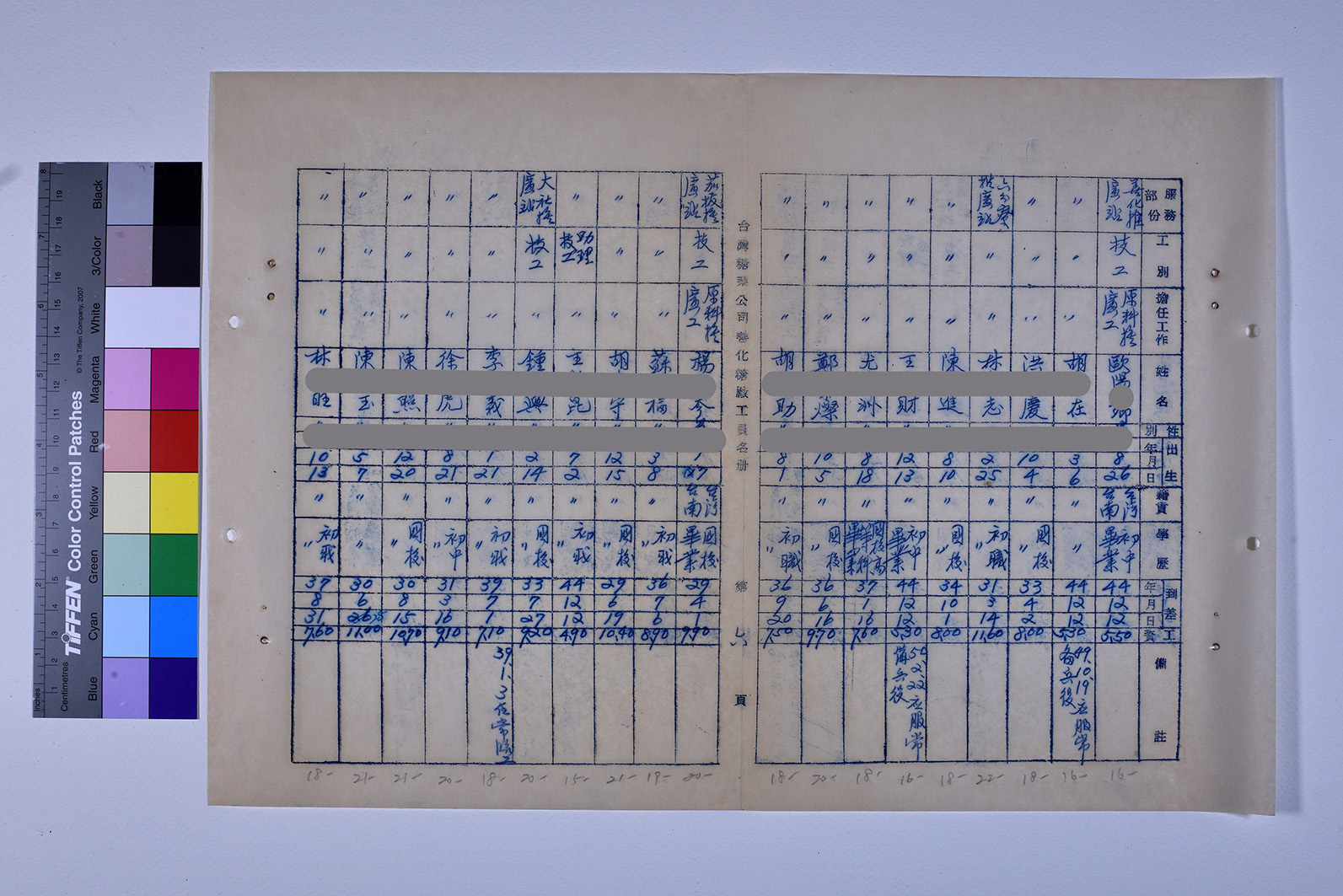 3419-13-善化糖廠工員名冊511230_ 內頁6